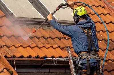 Démoussage et hydrofuge de toiture à Zigliara